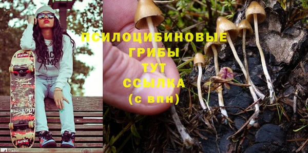не бодяженный Куйбышев