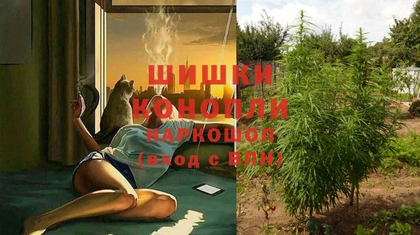 шишки Кукмор