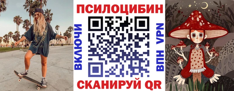 МЕГА ТОР  магазин продажи наркотиков  Новотитаровская  Псилоцибиновые грибы Psilocybe 