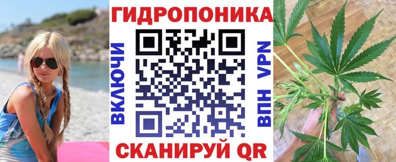 omg рабочий сайт Новотитаровская Конопля White Widow